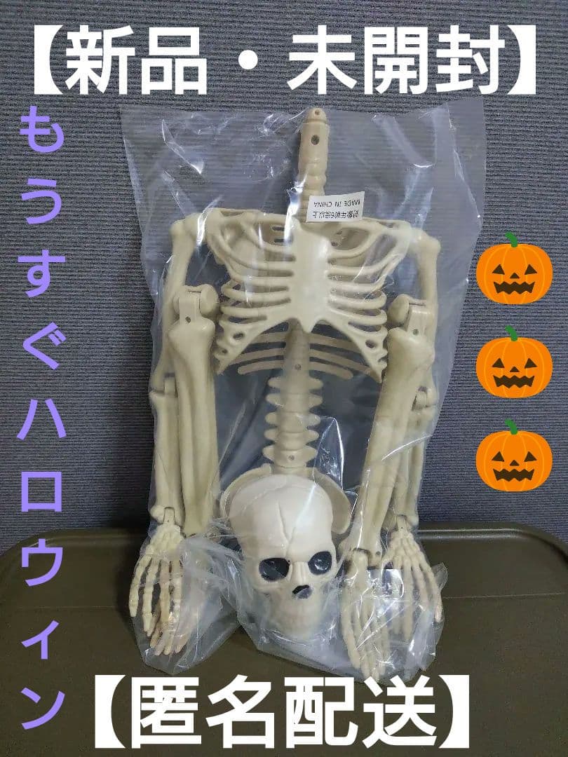 【【限定非卖品】人体骨骼模型 手办（含运费）)