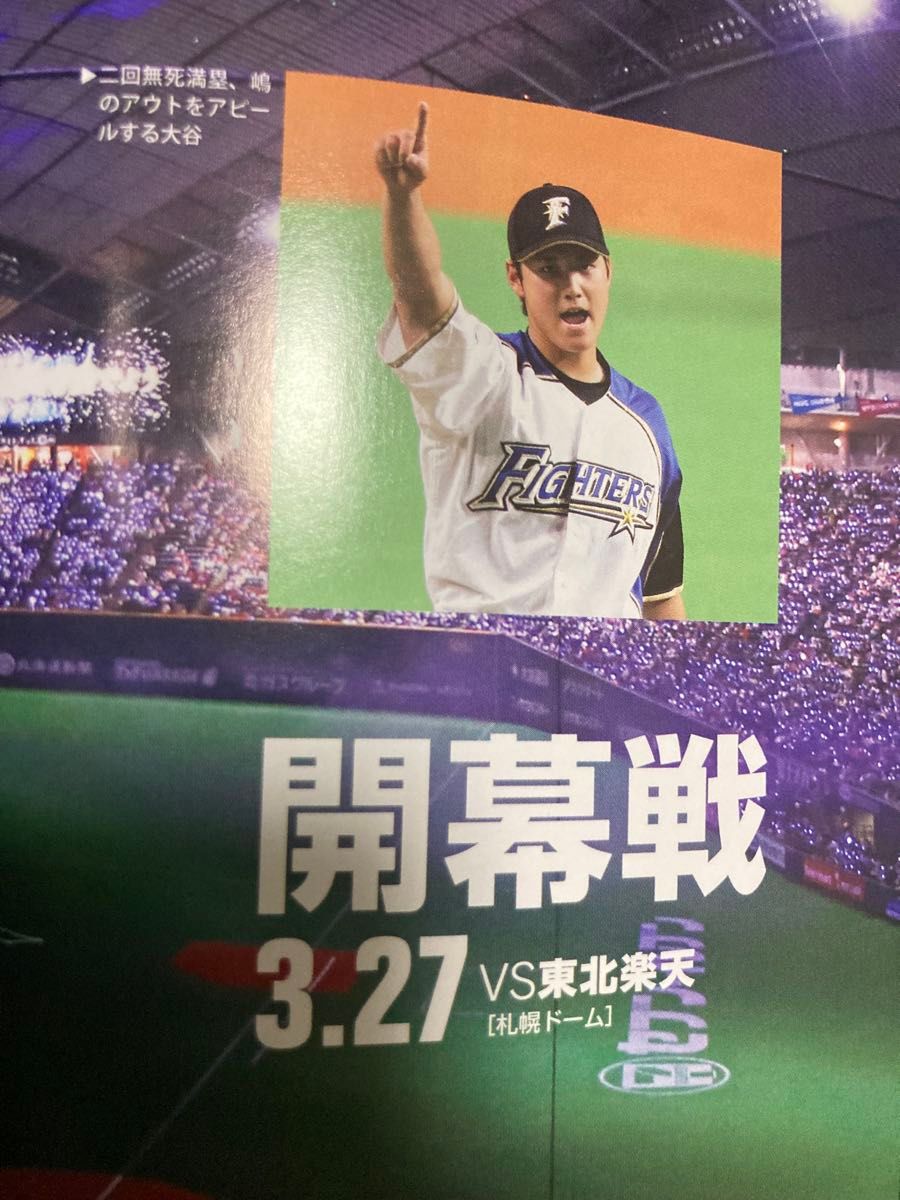 大谷翔平 珍贵 封面 特辑 刊登众多 北海道日本火腿斗士队 官方图文书 文章 2016年 北海道新闻社 限定 书籍