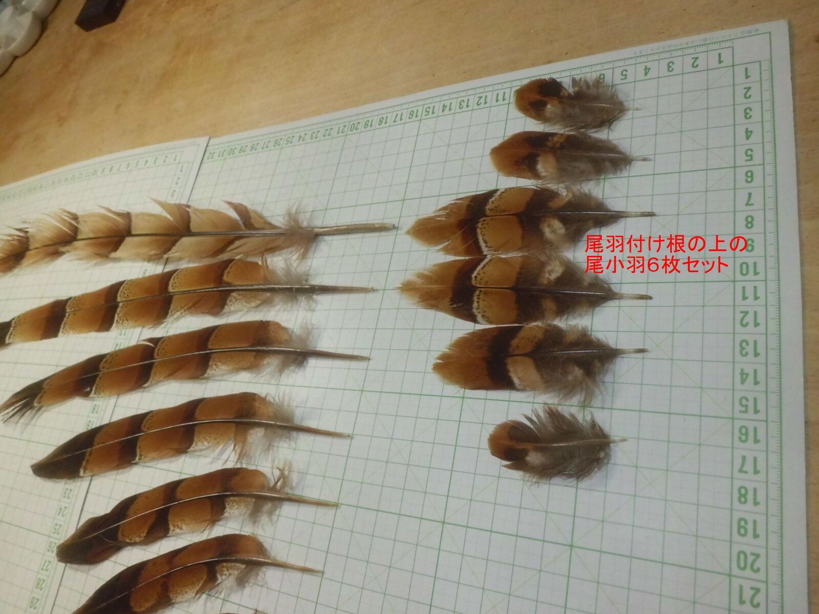 鄂霍次克山雀尾羽的小尾羽6枚套装·飞蝇材料·室内装饰等