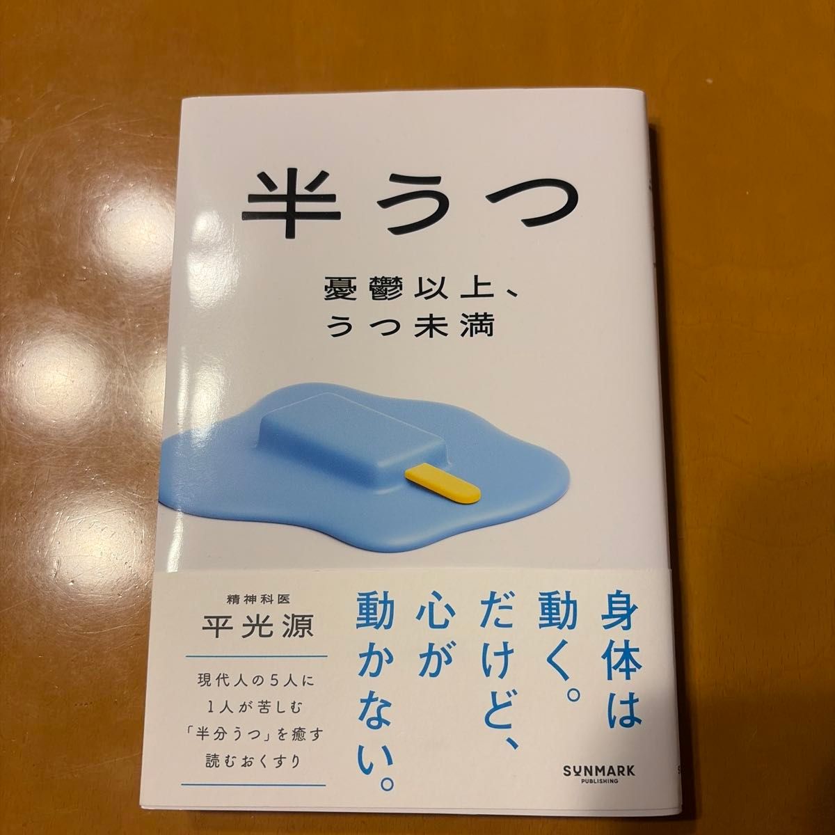 半抑郁：忧郁之上，抑郁之下 / 平光源 著 / 三荣书房