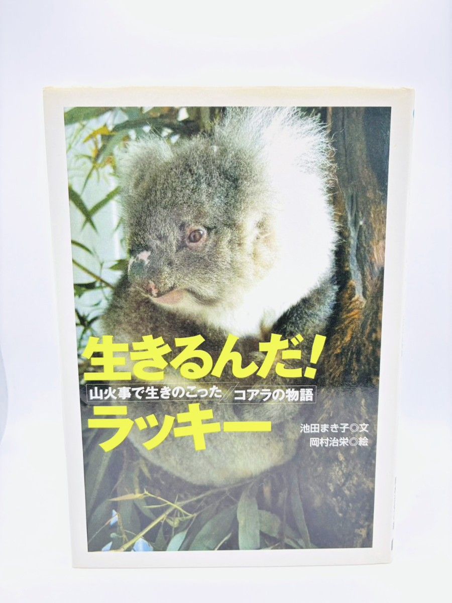生きるんだ！ラッキー 山火事で生きのこったコアラの物語 池田まき子 学習研究社