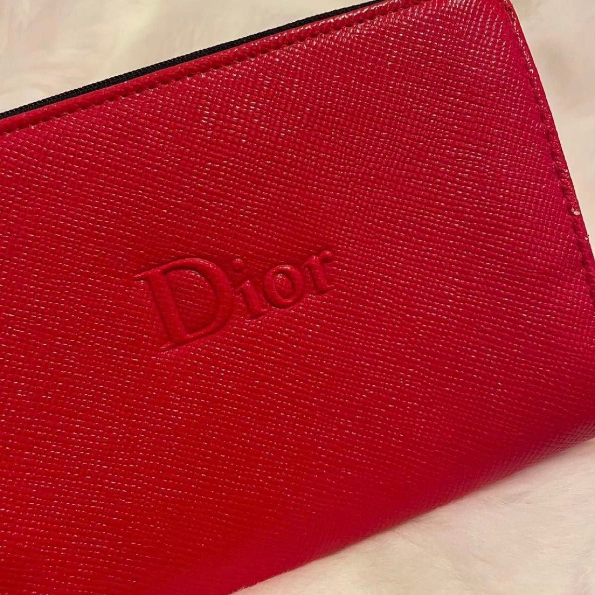 【Dior】Novelty Pouch