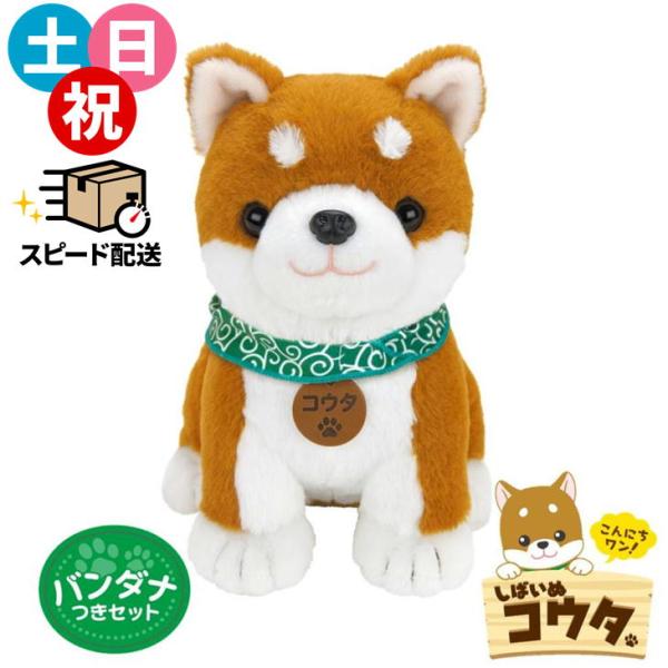 现货 柴犬小太 带头巾套装 语音识别毛绒玩具 伙伴系列玩偶 单人生活 老年人 治愈 说话对象 小太周边 可说话 柴犬 小太