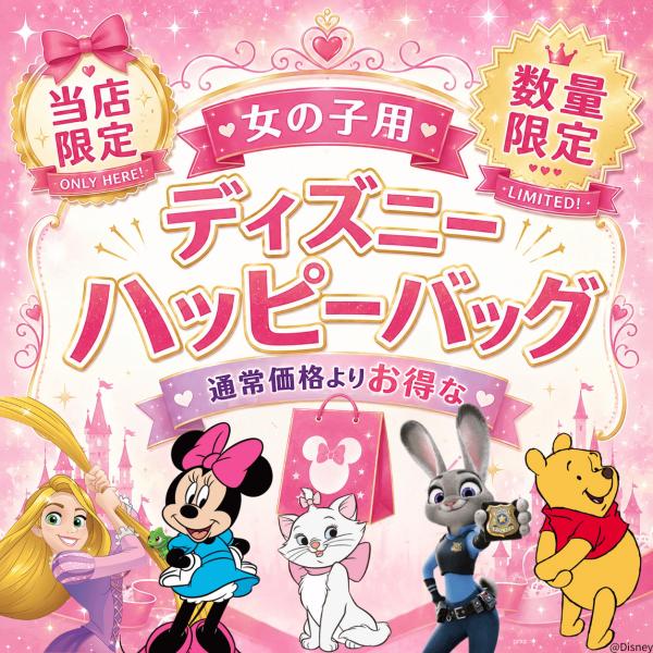 Disney lucky bags (for girls) Happy bag goods stuffed Minnie Princess character miscellaneous goods stationery seal Kids gift limited quantity
