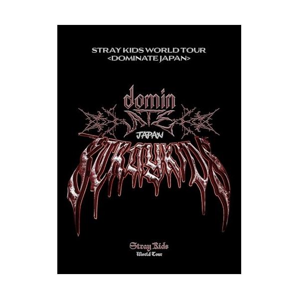 BD/Stray Kids/Stray Kids World Tour(dominATE JAPAN)(Blu-ray) (本編ディスク+特典ディスク) (完全生産限定盤)【Pアップ