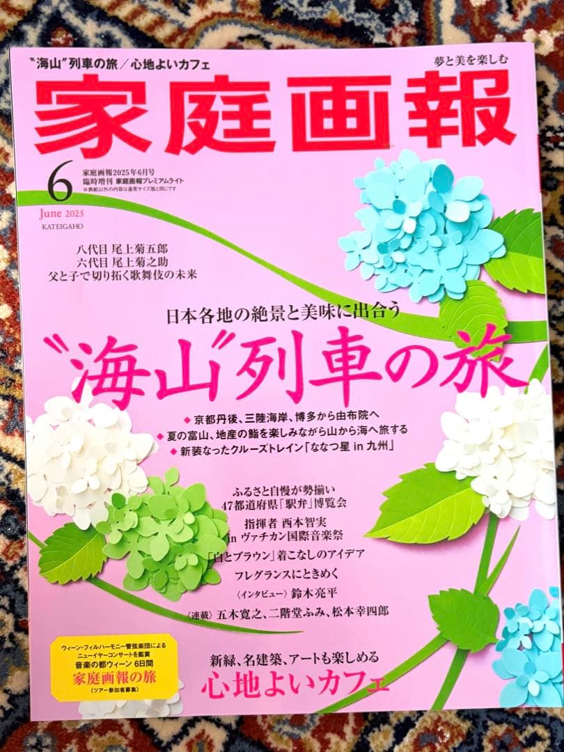家庭画报2025年6月号海山列车之旅