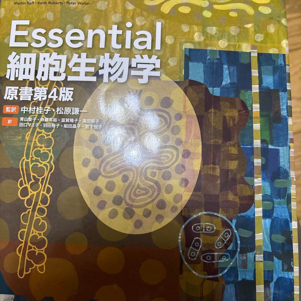 Essential细胞生物学 (原书第四版)