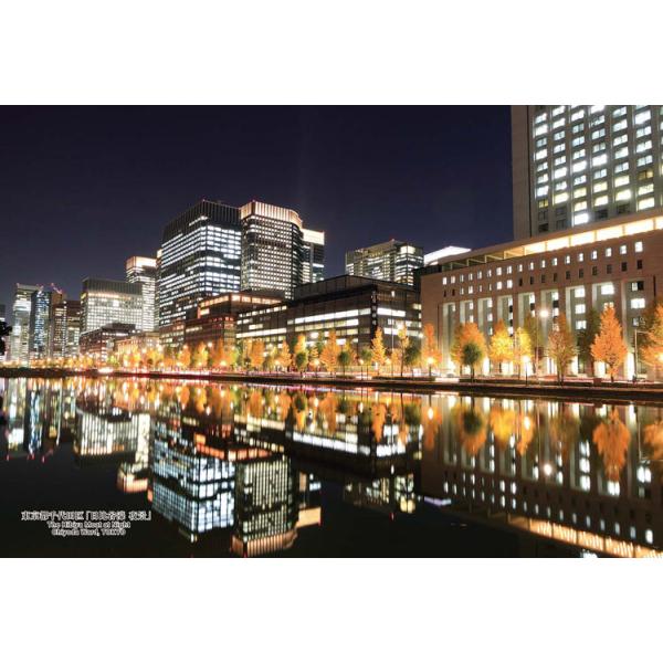 拼图 300片 东京都千代田区“日比谷护城河 夜景”    CUT-300-481