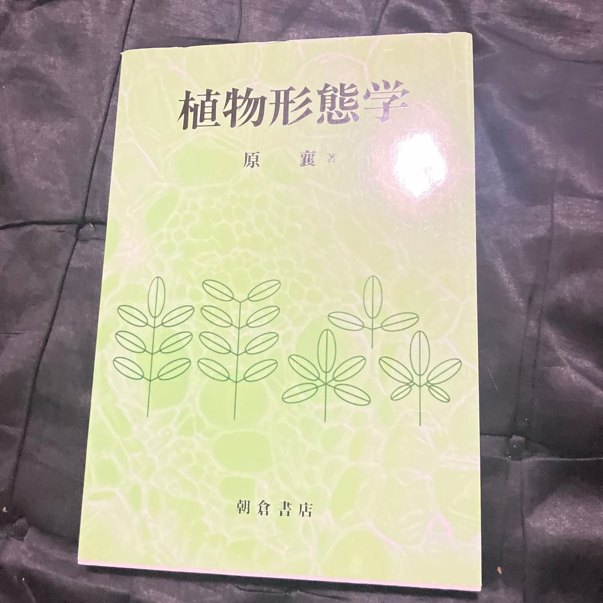 植物形态学原襄著朝仓书店