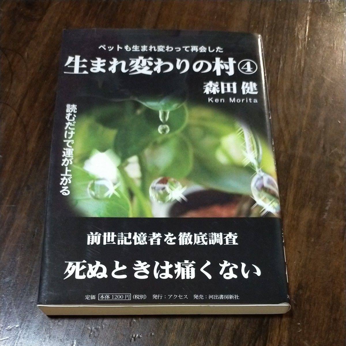 宠物也转世重逢了 转世之村④ 森田健著