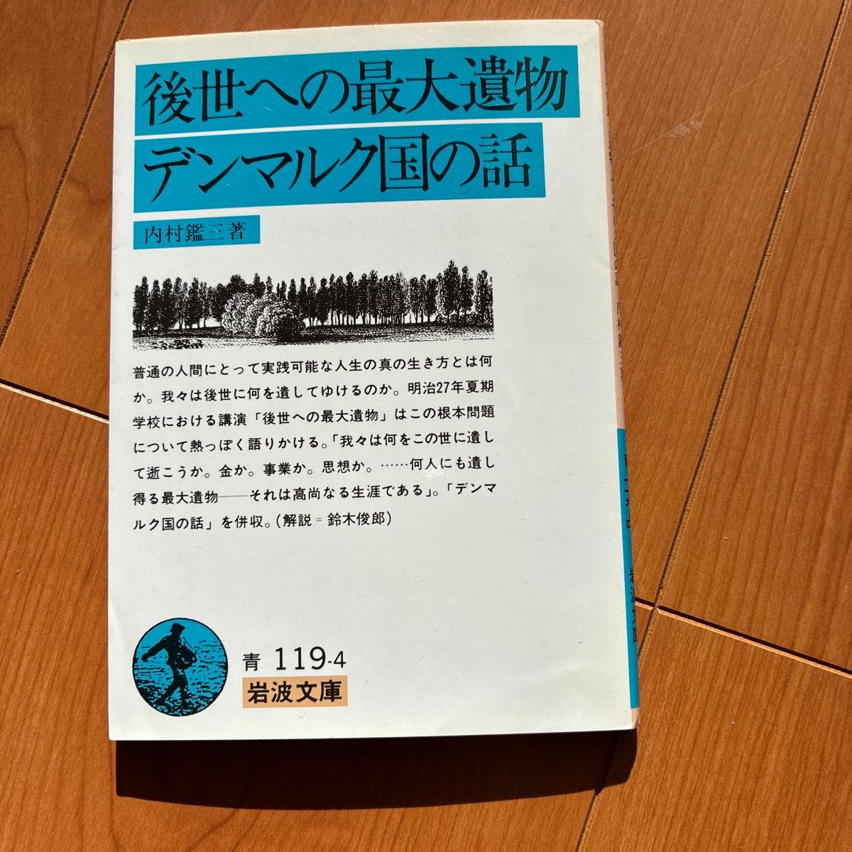 留给后世的珍贵遗产：丹麦的故事 内村鉴三 岩波文库
