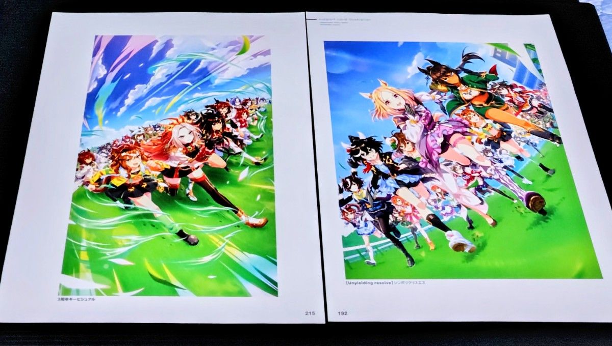 【223】赛马娘 · 2&3周年主视觉图・ A4 海报×2张 & 相框1个附赠套装(插画×2))