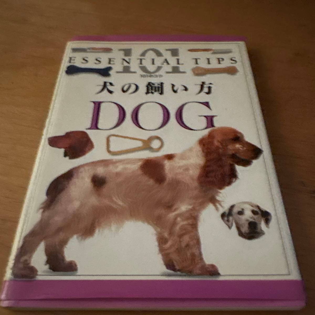 ESSENTIAL TIPS 养狗指南 DOG 101个技巧