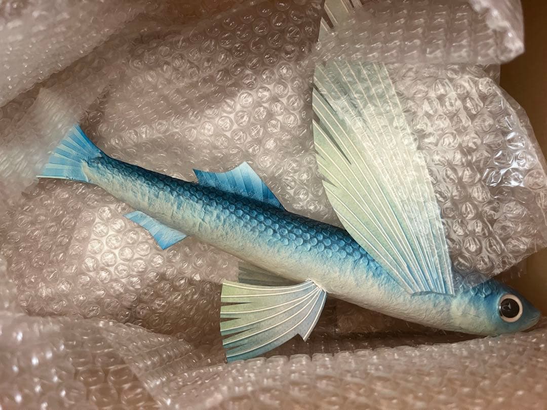 Washikko Flying Fish