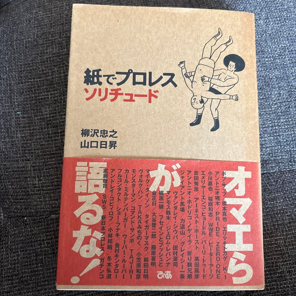 【プロレス関連本】紙でプロレスソリチュード/柳沢忠之 (著者) 山口日昇 (著者)