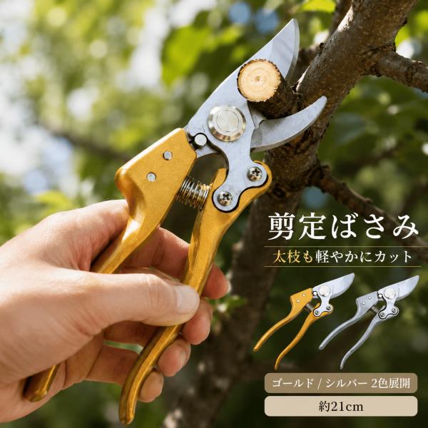 爆买出口修剪剪刀修剪剪刀强力粗枝切割园艺园艺果树盆栽种植家庭菜园剪枝DIY工具