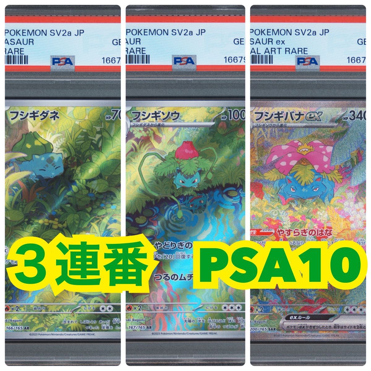 【3连号新基准PSA10】进化线3连号神奇宝贝 (强化扩展包 “神奇宝贝卡151”)