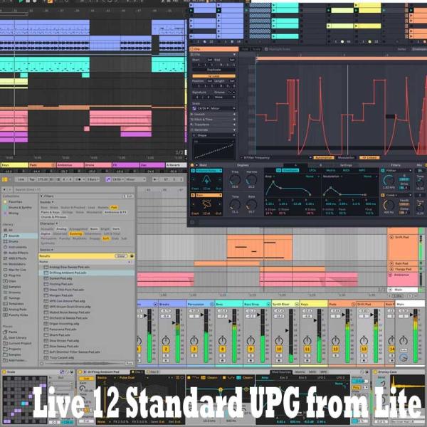 Ableton Live 12 Standard UPG from Lite (不可代引) (在线交货)