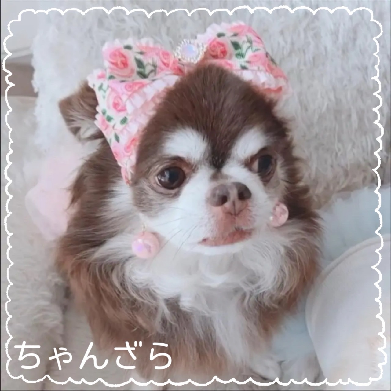 🎀 公主房 粉色玫瑰丝带发箍)