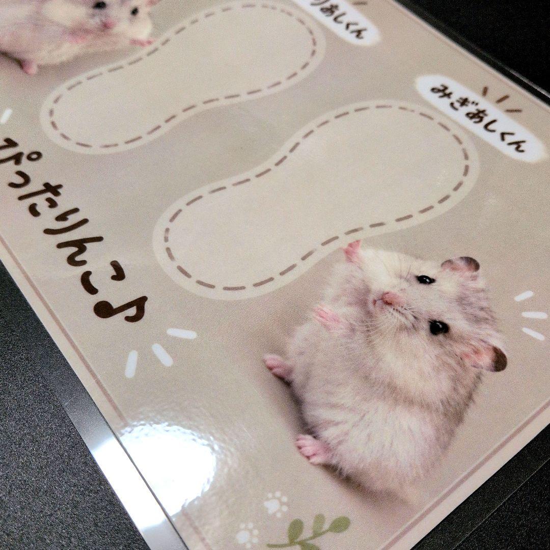 HammyDays 鞋垫贴合设计,左右标识清晰,助力日常穿搭
