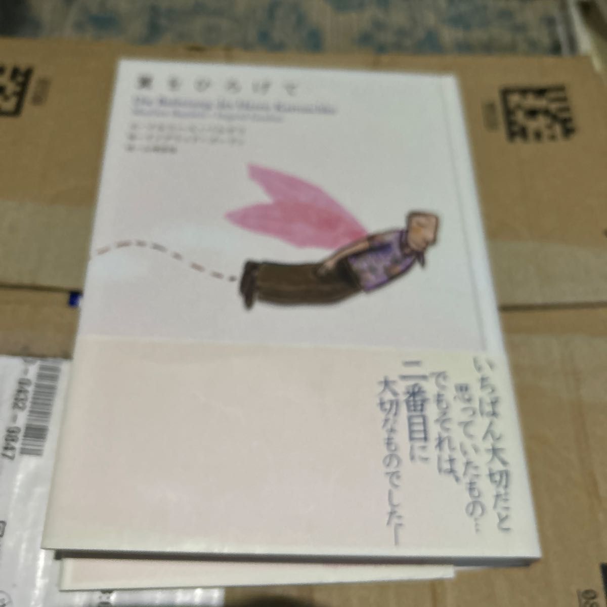 《展开翅膀》 著:马库斯·维尔纳 绘:阿努什卡·阿拉尼
