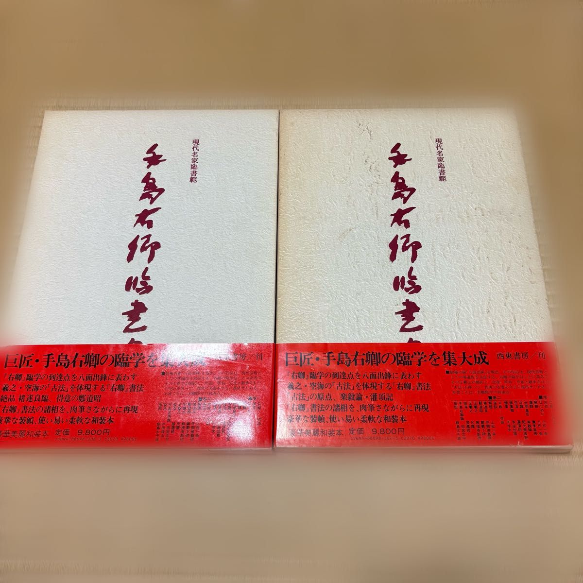 現代名家臨書範 手島右卿 臨書集 巻一 巻二  飯島太千雄監修