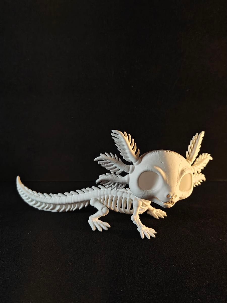 Axolotl Skeleton Model Figure