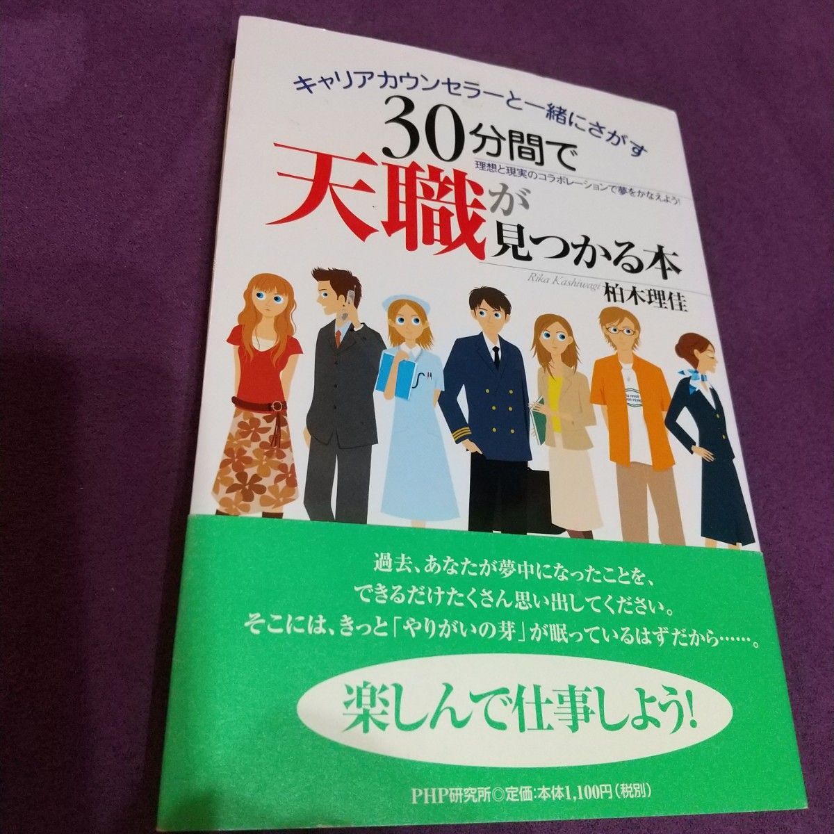30分钟找到天职之书：与职业咨询师一同探寻，以理想与现实的协作实现梦想！柏木理佳 著、