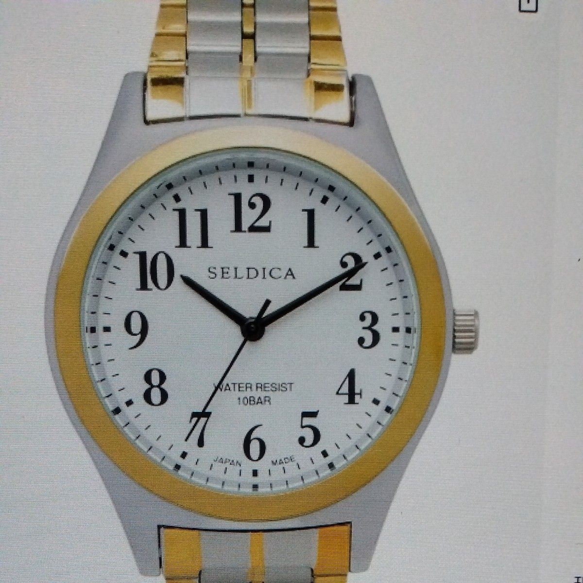 SELDICA Men's Quartz Watch, 10BAR, Two-Tone Color, White Dial