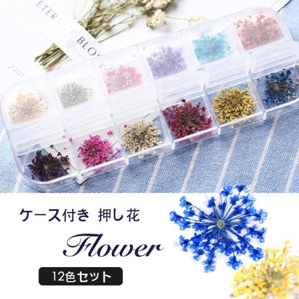 干花 压花 花 12色套装 美甲 花 12色 美甲用品 镶嵌金箔 凝胶美甲 树脂配件