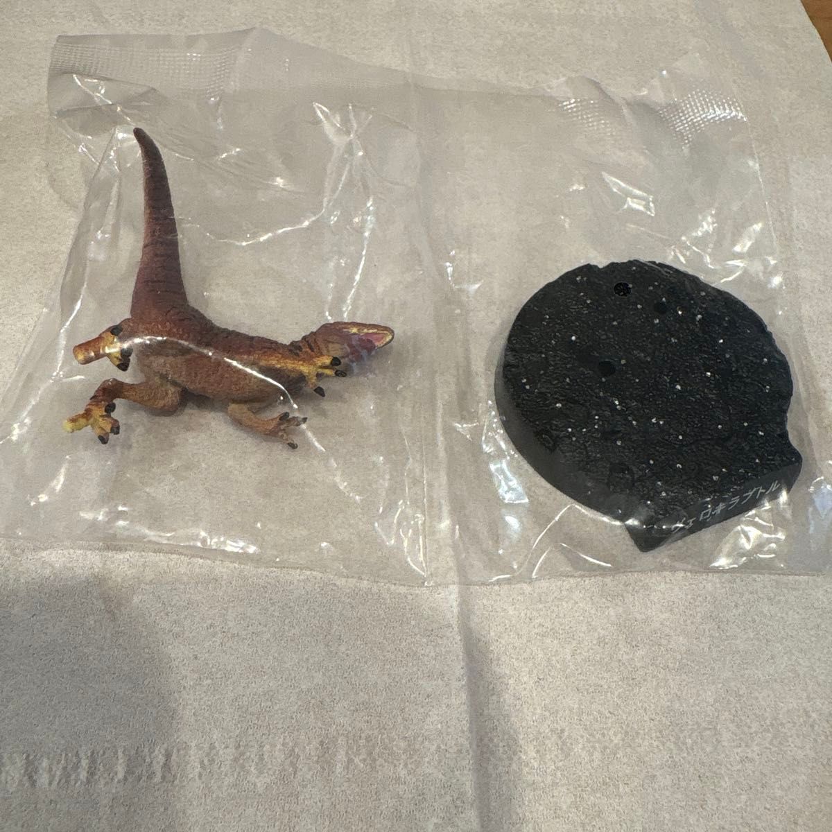 福井恐龙博物馆 胶囊恐龙玩偶 迅猛龙 扭蛋