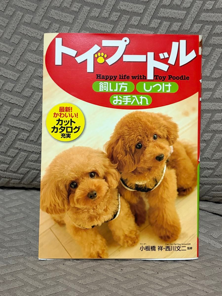 玩具贵宾犬 饲养方法 训练 护理 与玩具贵宾犬共度快乐时光