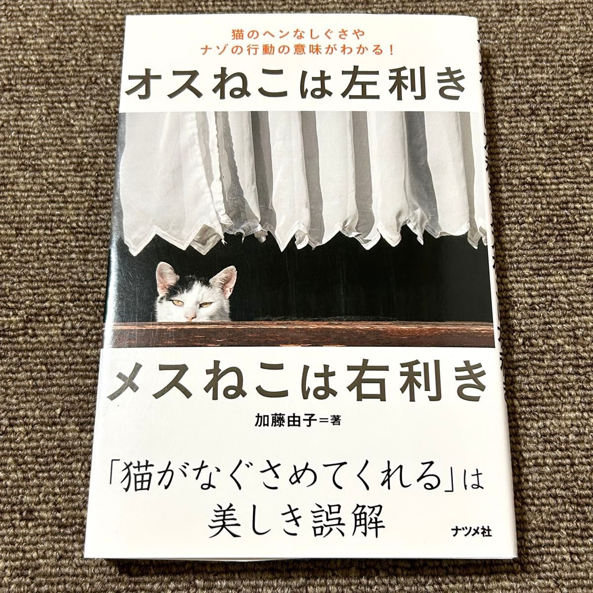 オスねこは左利きメスねこは右利き 猫のヘンなしぐさやナゾの行動の意味がわかる! 加藤由子 初版本