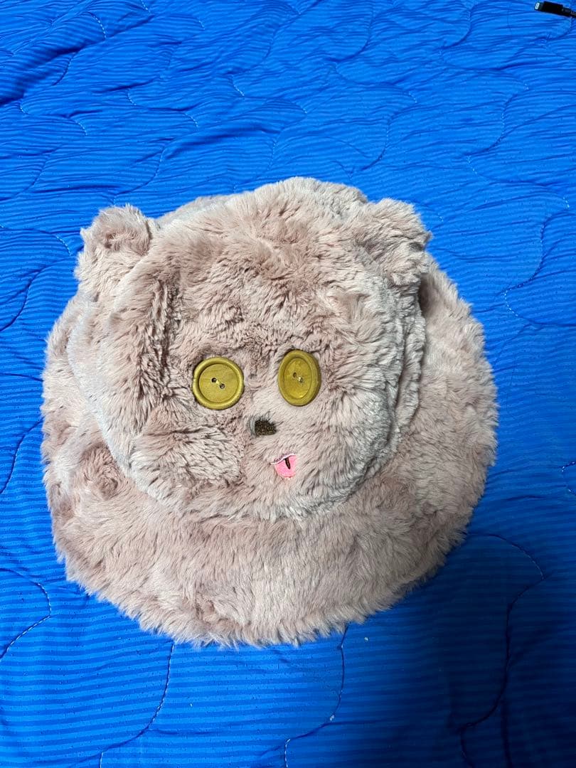 USJ Tim Bucket Hat Bear Hat Headwear