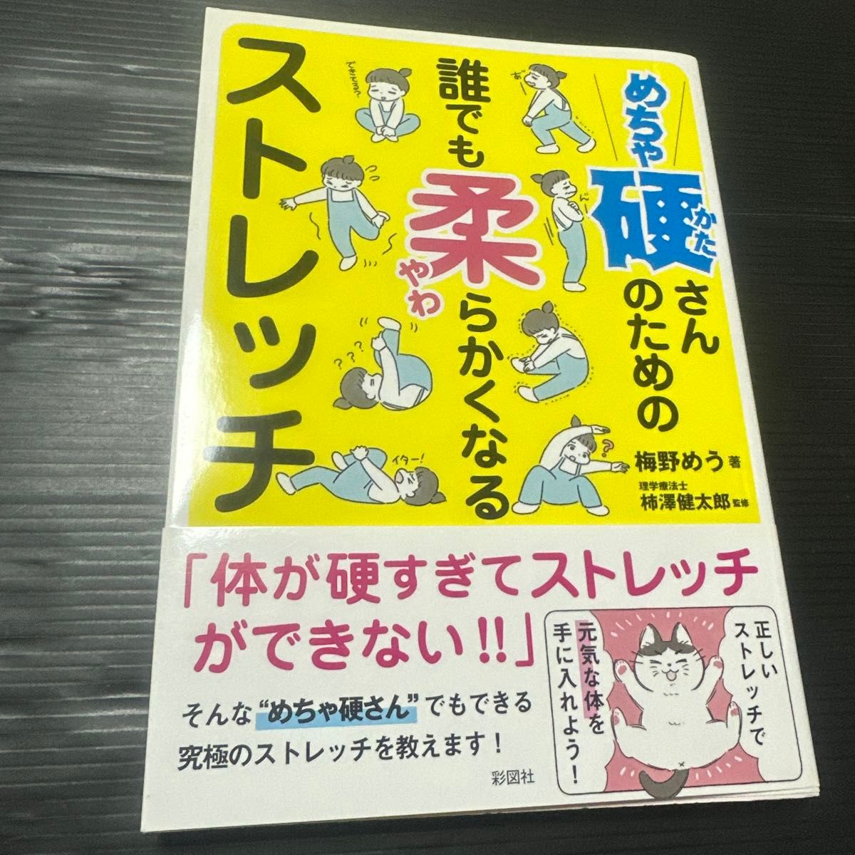适合僵硬人士的柔软拉伸操（为僵硬人士设计）/ 梅野めう 著，柿泽健太郎 监修