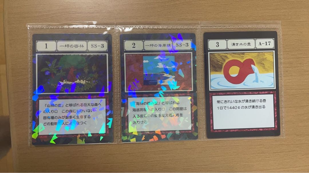 全职猎人 一坪的海岸线 最佳扭蛋 L奖 G.I. 指定口袋卡