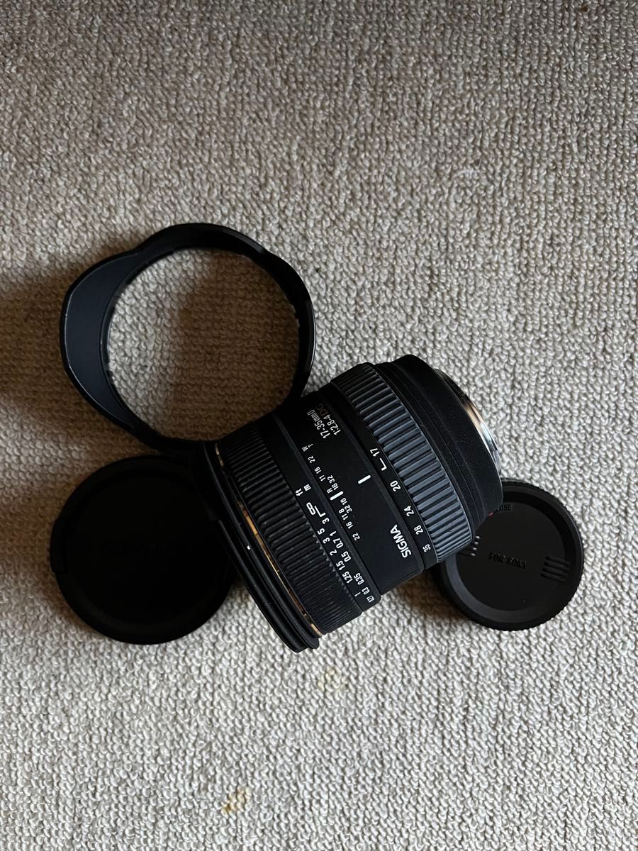 SONY ソニー SIGMA シグマ 17-35 f2.8-4 D DG EX