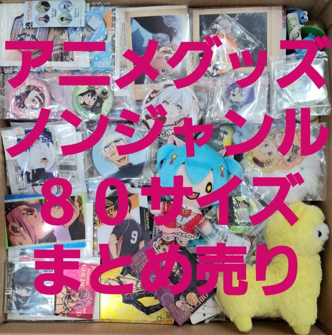 动画商品无种类杂货大量集中销售断舍离匿名配送80尺寸