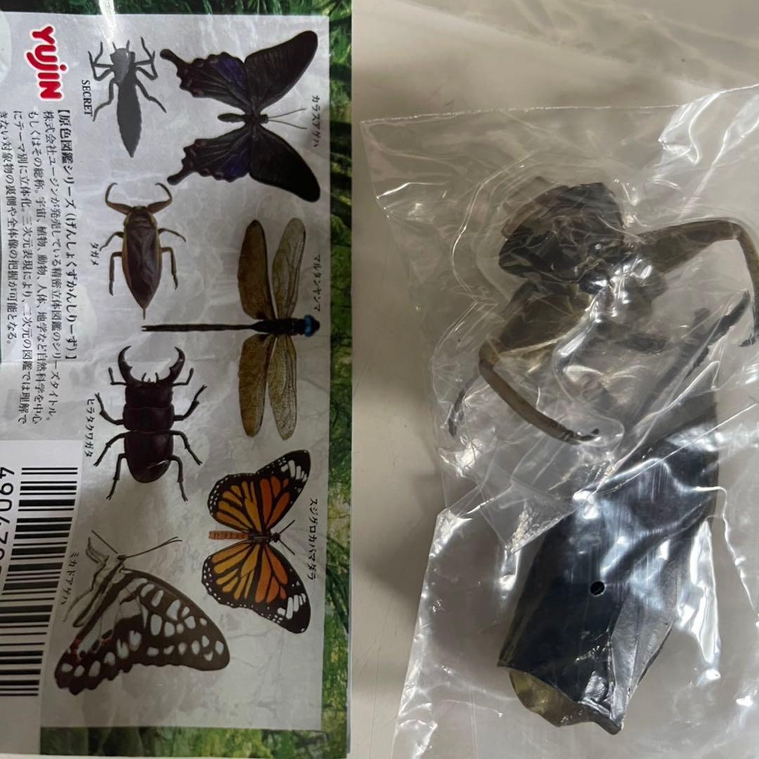 [Original Color Japanese Insect Encyclopedia III / Water Bug Figure]