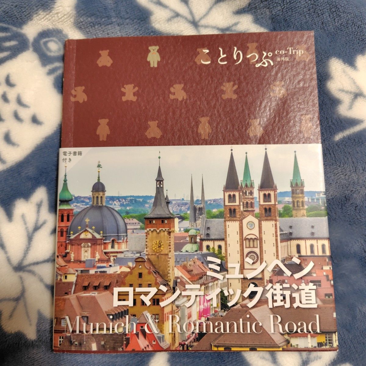 慕尼黑浪漫之路/旅行