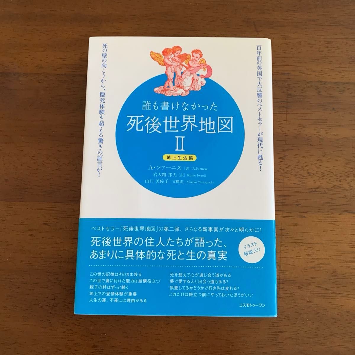 【二手书】无人能写的死后世界地图 II:百年前在英国引起巨大反响的畅销书重现现代!