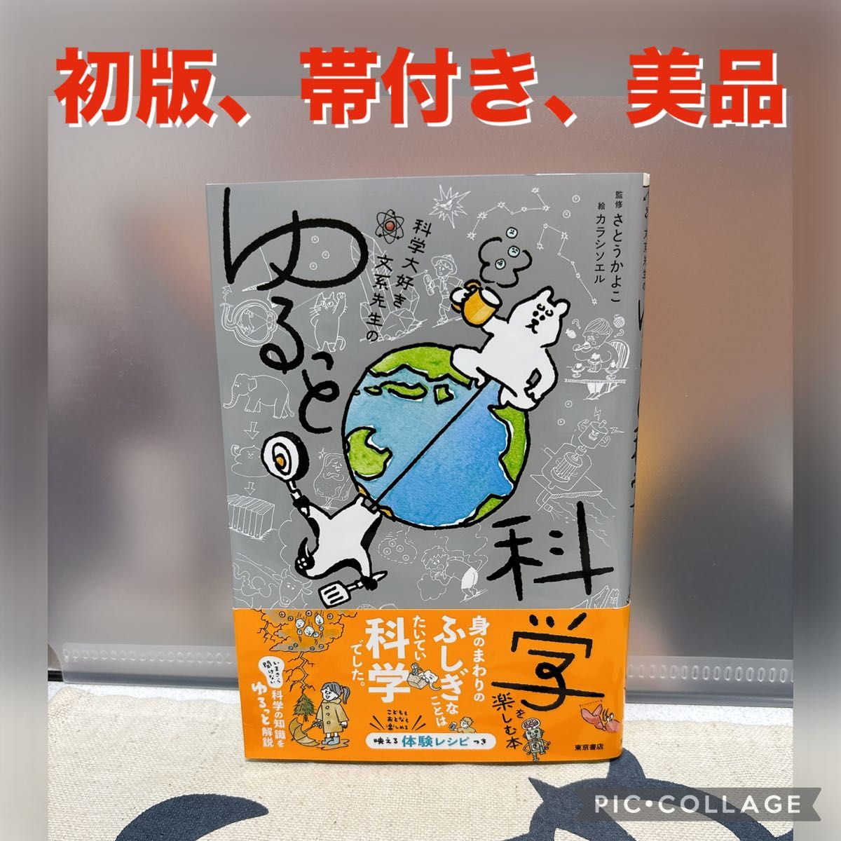 【初版、美品】科学大好き文系先生のゆるっと科学を楽しむ本 さとうかよこ／監修　カラシソエル／絵
