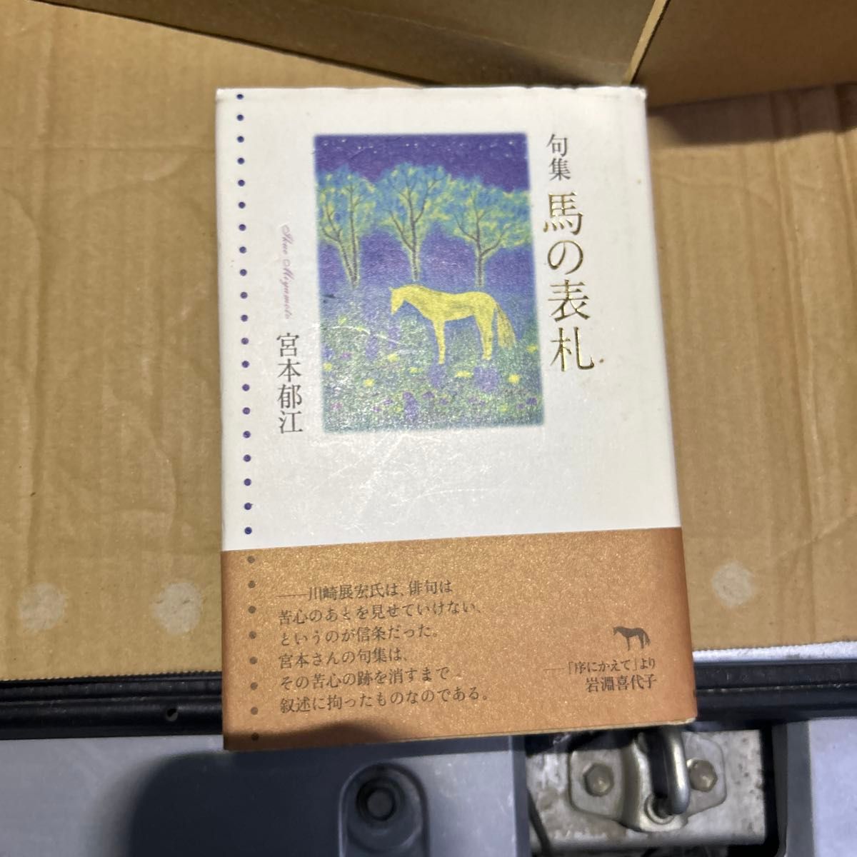 诗集《马的名牌》宫本郁江