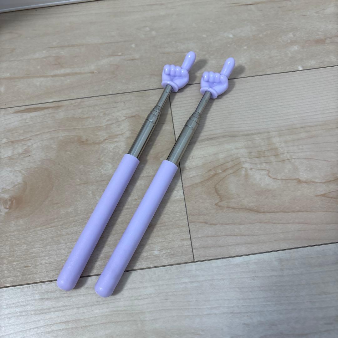 Pointer Stick 2-Pack