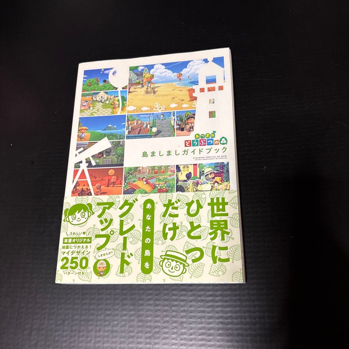 初版本 あつまれ どうぶつの森 島ましましガイドブック