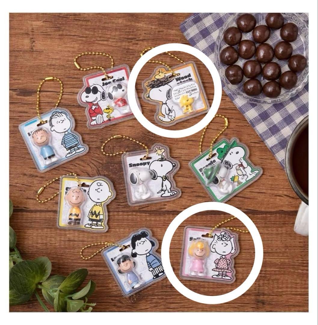 PEANUTS Snoopy Package Charm & Choco Boro 2-Type Set