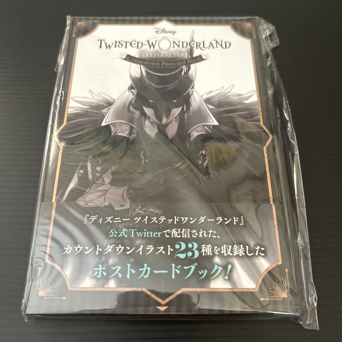 【新品】迪士尼扭曲仙境 倒计时明信片书