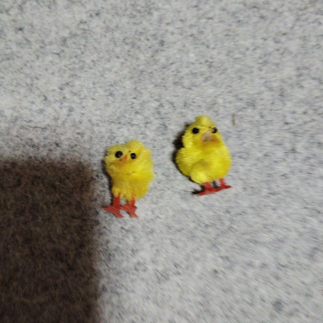Chick Miniature Figure Set of 2