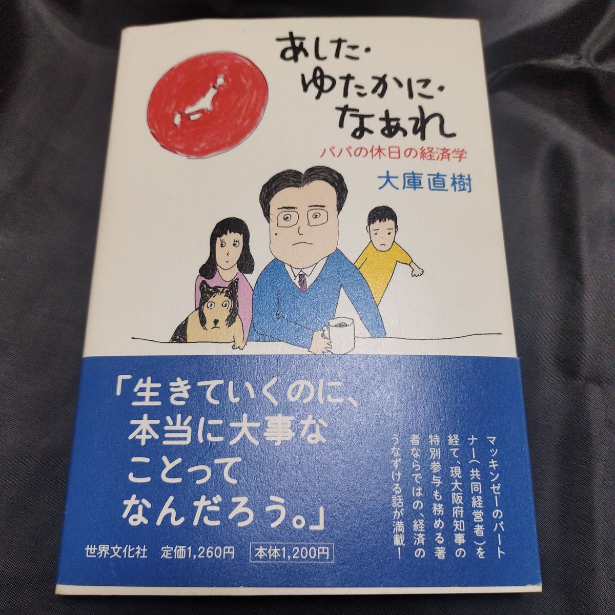 大库直树 《明天,愿你富足——爸爸的假日经济学》