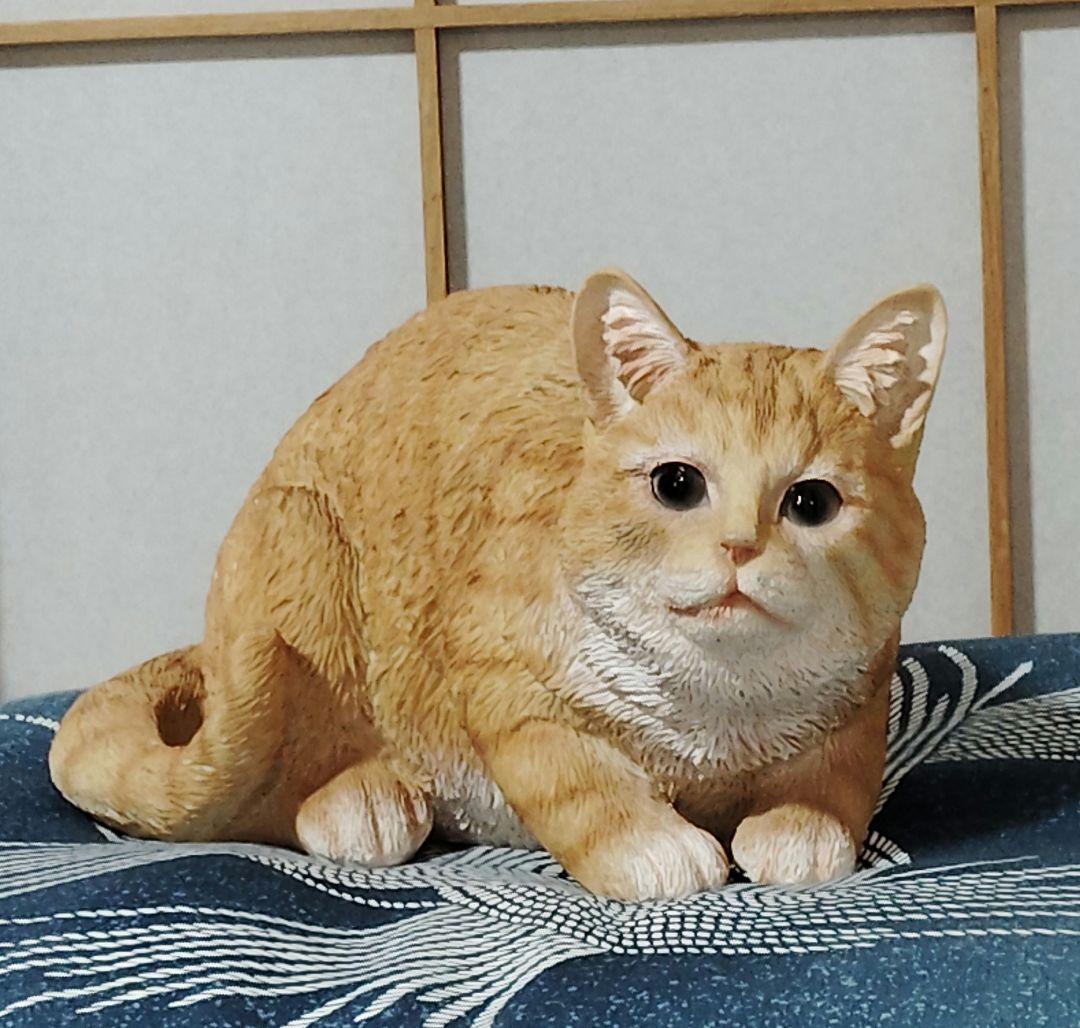 逼真猫咪摆件 橘猫 模型 cat 猫